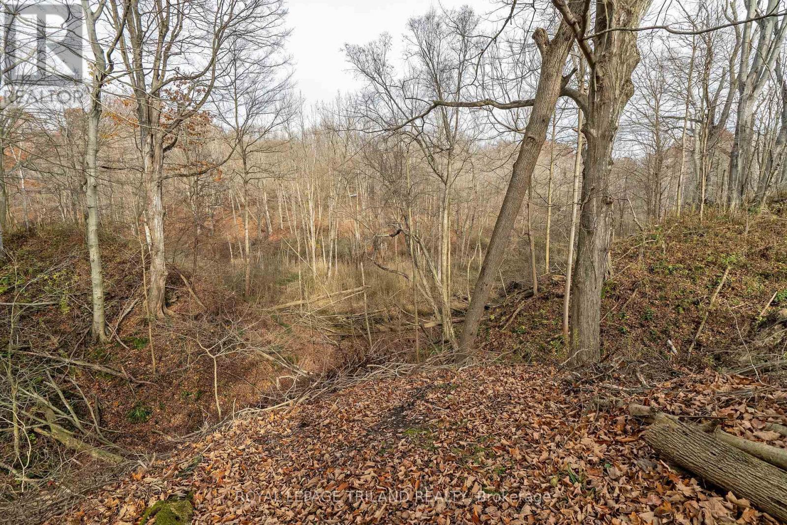 495 George Street, Central Elgin, Ontario  N5L 1H1 - Photo 16 - X12558304