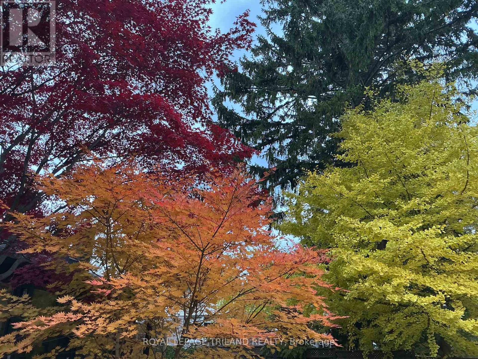 495 George Street, Central Elgin, Ontario  N5L 1H1 - Photo 18 - X12558304