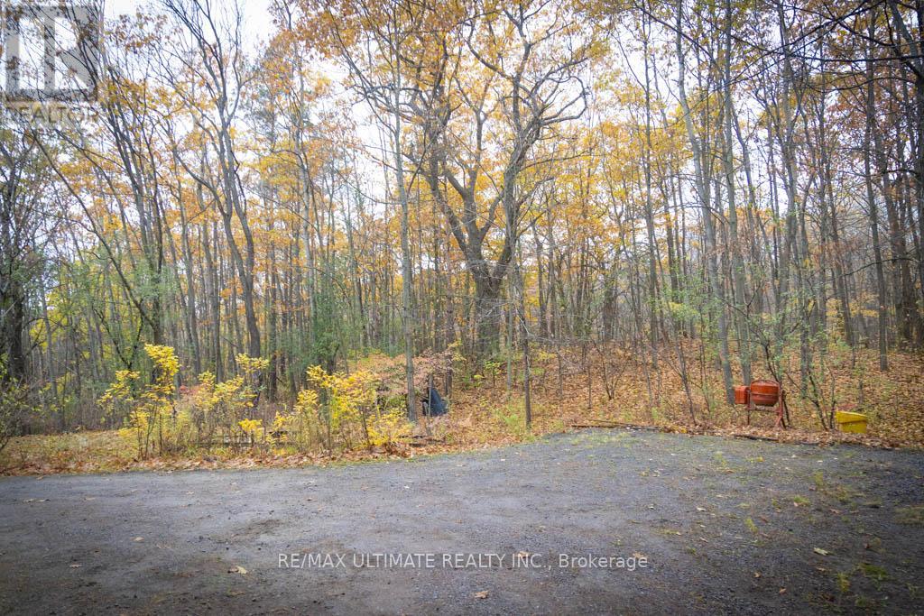 65 Sumac Lane, Scugog, Ontario  L9L 2C3 - Photo 34 - E12558168