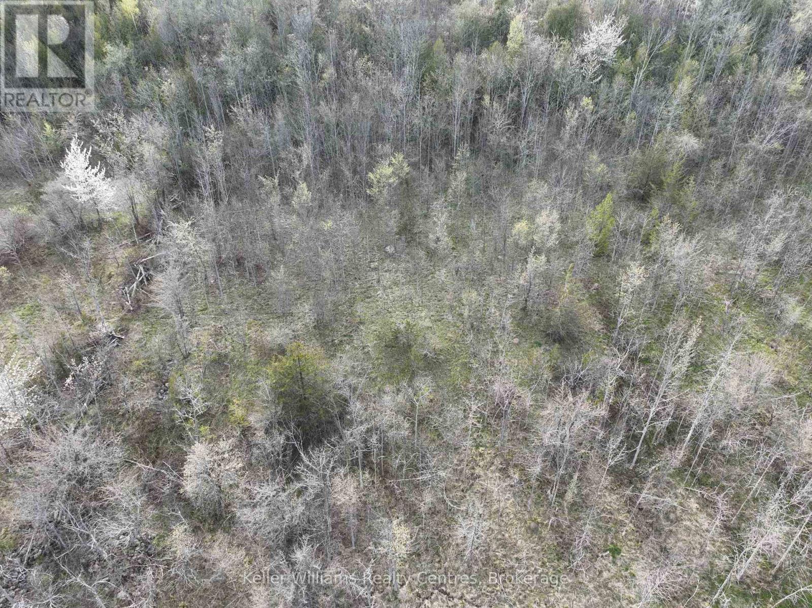 454 Balmy Beach Road, Georgian Bluffs, Ontario  N4K 5N4 - Photo 19 - X12558308