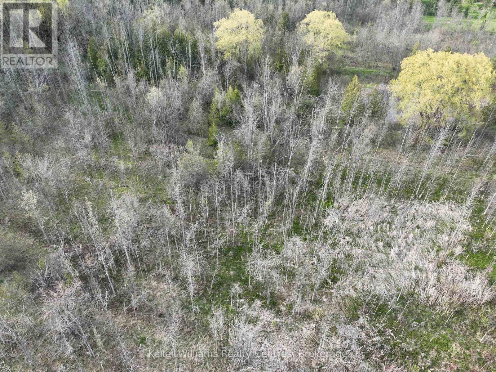 454 Balmy Beach Road, Georgian Bluffs, Ontario  N4K 5N4 - Photo 20 - X12558308