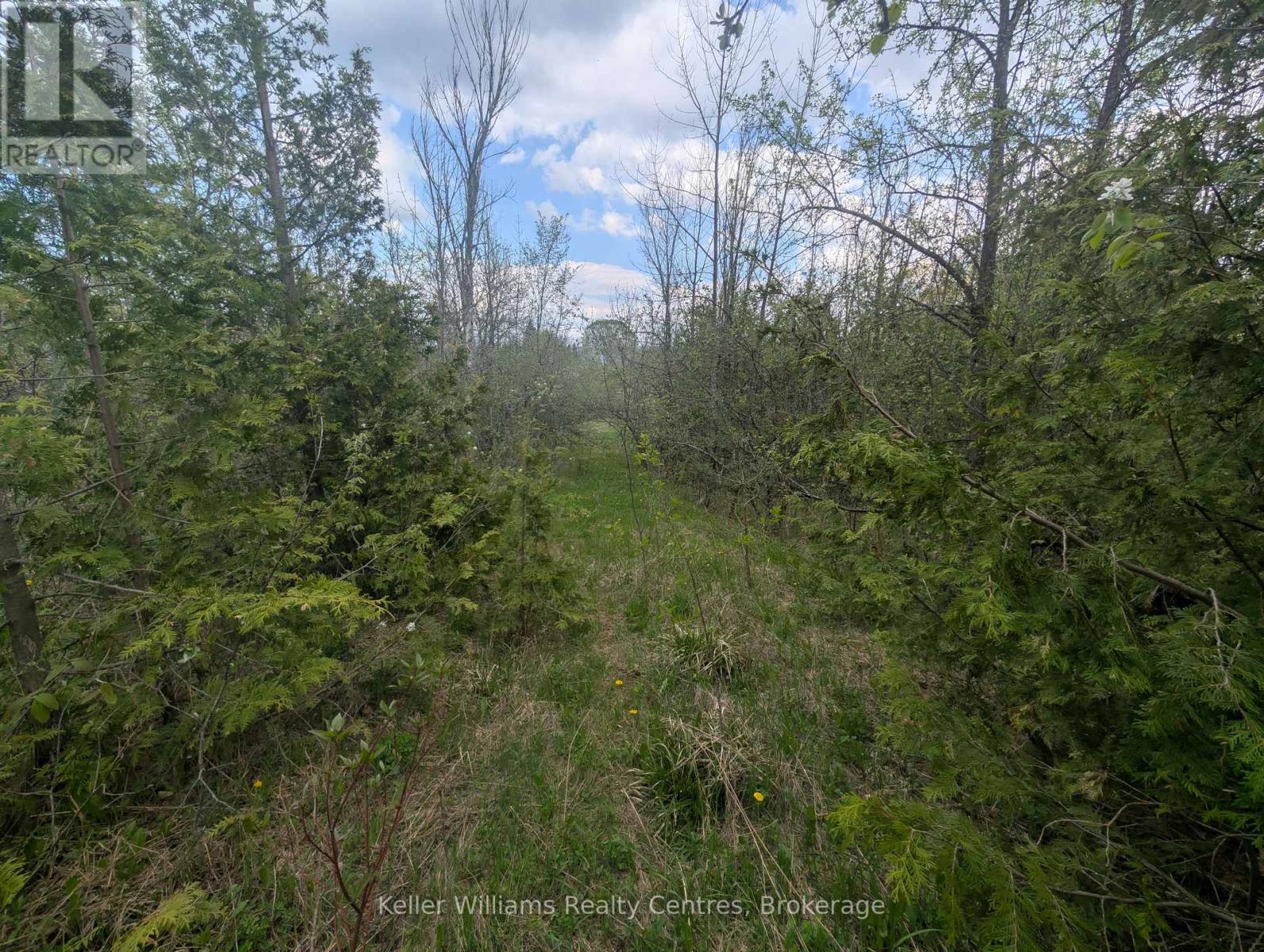 454 Balmy Beach Road, Georgian Bluffs, Ontario  N4K 5N4 - Photo 8 - X12558308