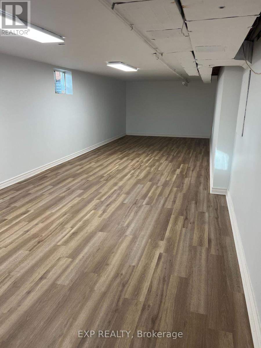 224 Park Avenue, East Gwillimbury, Ontario  L9N 1L9 - Photo 18 - N12558368