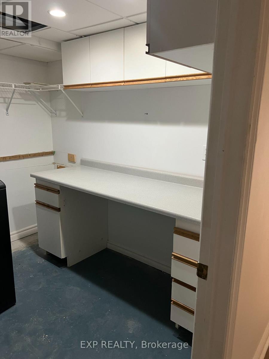 224 Park Avenue, East Gwillimbury, Ontario  L9N 1L9 - Photo 19 - N12558368