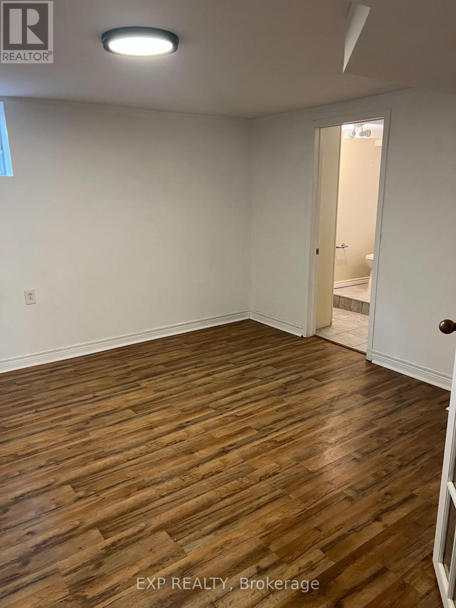 224 Park Avenue, East Gwillimbury, Ontario  L9N 1L9 - Photo 20 - N12558368