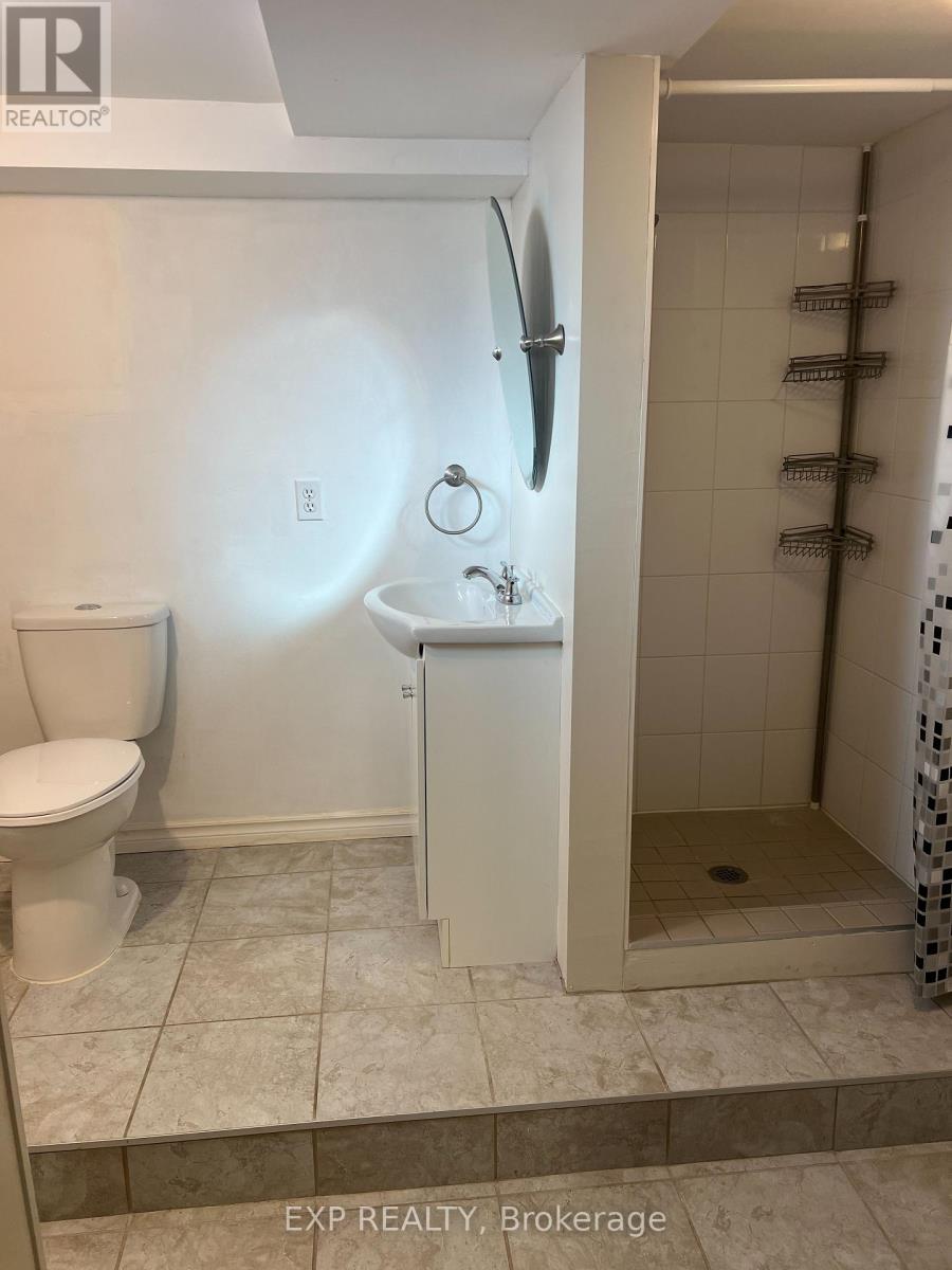 224 Park Avenue, East Gwillimbury, Ontario  L9N 1L9 - Photo 21 - N12558368