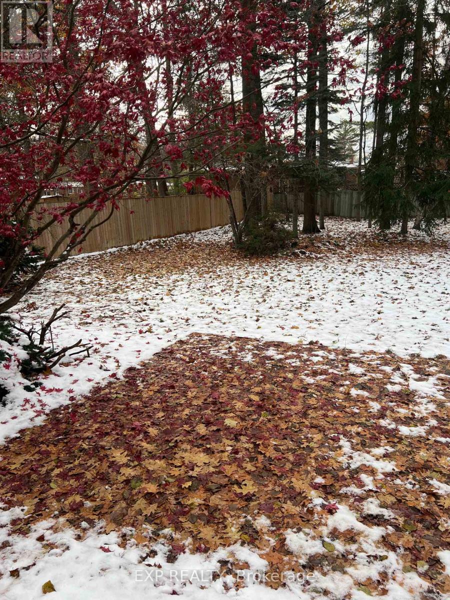 224 Park Avenue, East Gwillimbury, Ontario  L9N 1L9 - Photo 22 - N12558368