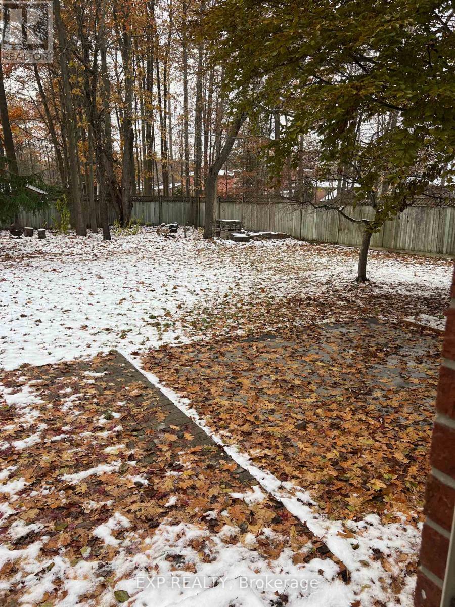 224 Park Avenue, East Gwillimbury, Ontario  L9N 1L9 - Photo 23 - N12558368