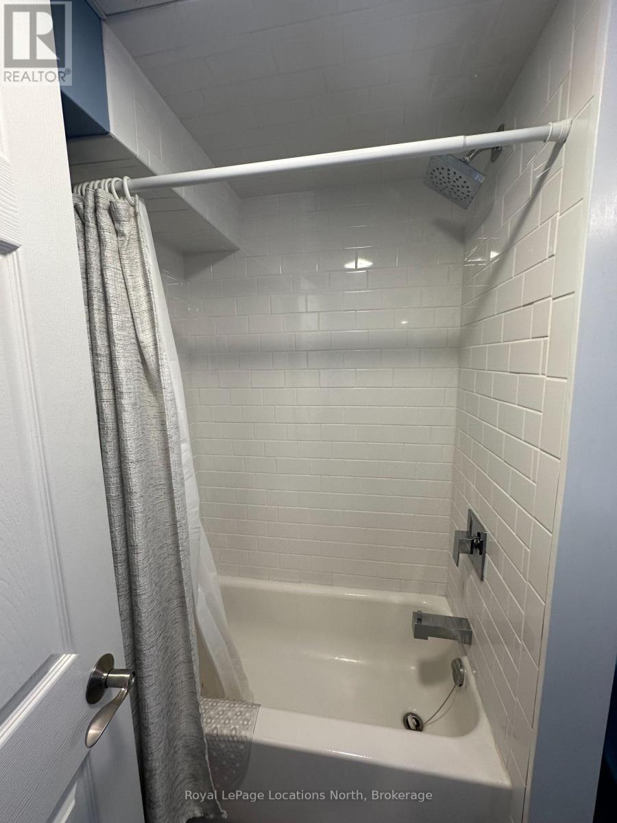 245 Pearson Street N, Meaford, Ontario  N4L 1L6 - Photo 17 - X12557906