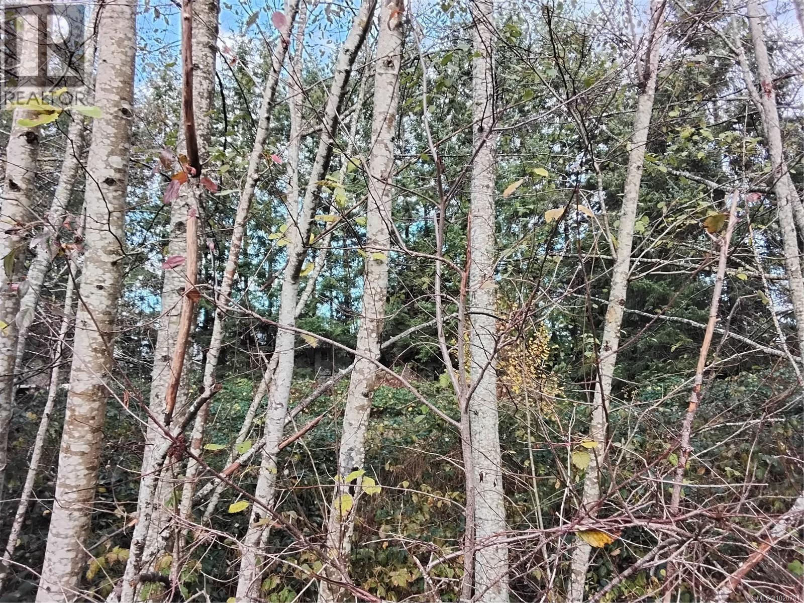 Lot E Tatton Rd, Courtenay, British Columbia  V9N 7E4 - Photo 3 - 1020781