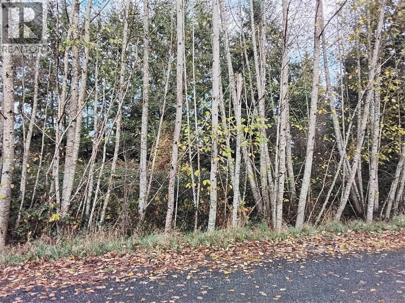 Lot E Tatton Rd, Courtenay, British Columbia