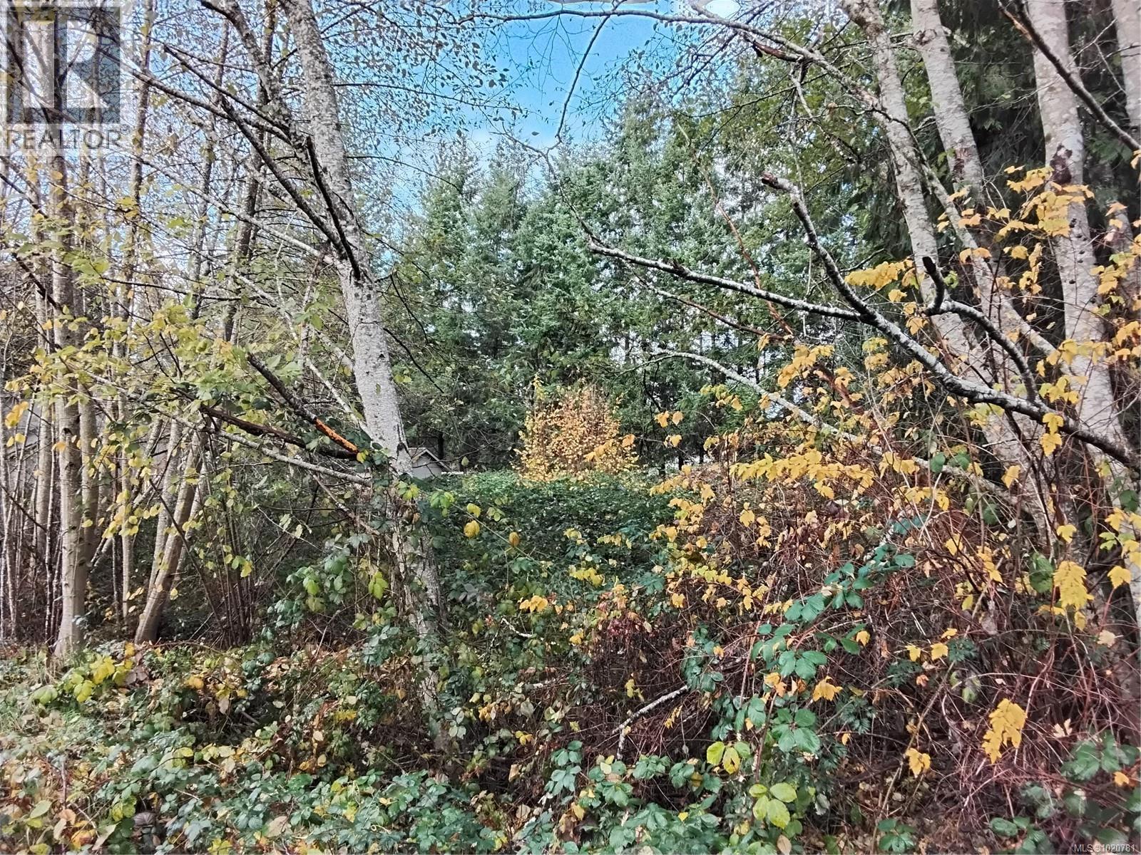 Lot E Tatton Rd, Courtenay, British Columbia  V9N 7E4 - Photo 6 - 1020781