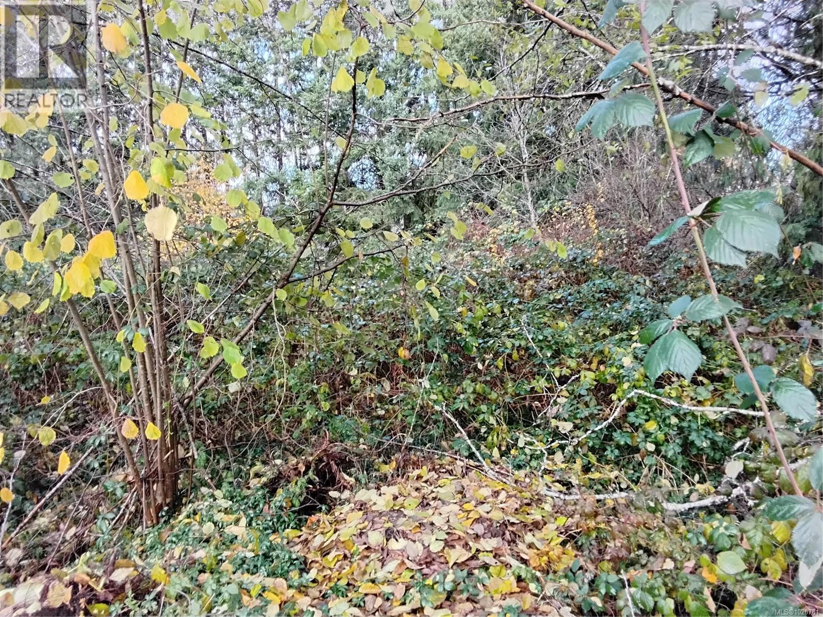 Lot E Tatton Rd, Courtenay, British Columbia  V9N 7E4 - Photo 4 - 1020781