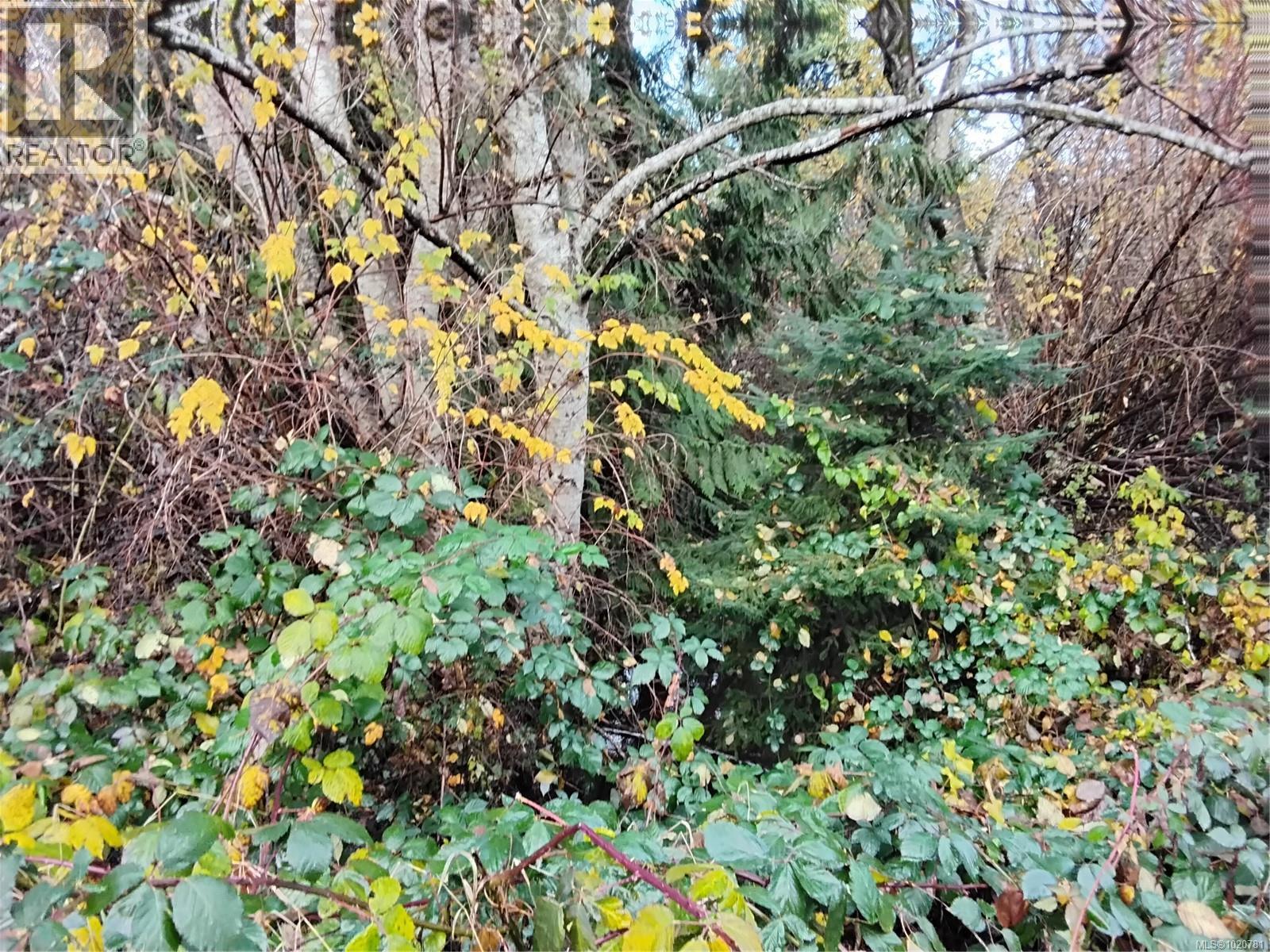 Lot E Tatton Rd, Courtenay, British Columbia  V9N 7E4 - Photo 5 - 1020781