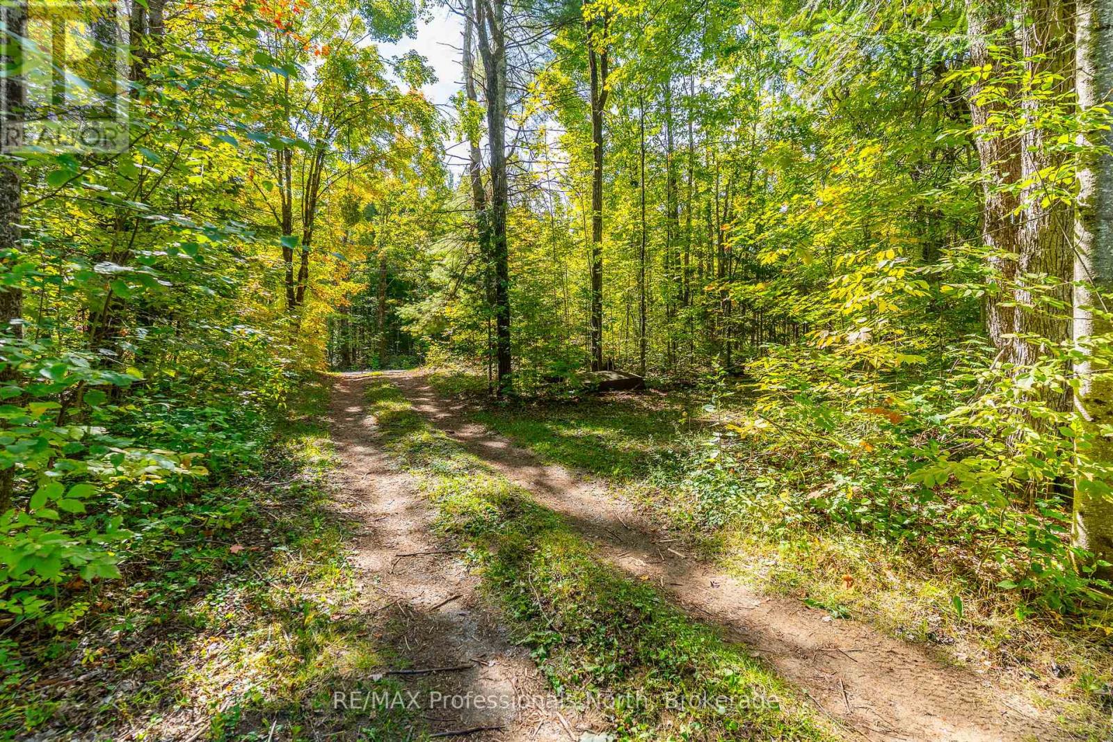 319 Boundary Road, Minden Hills (Lutterworth), Ontario  K0M 2A1 - Photo 20 - X12558780