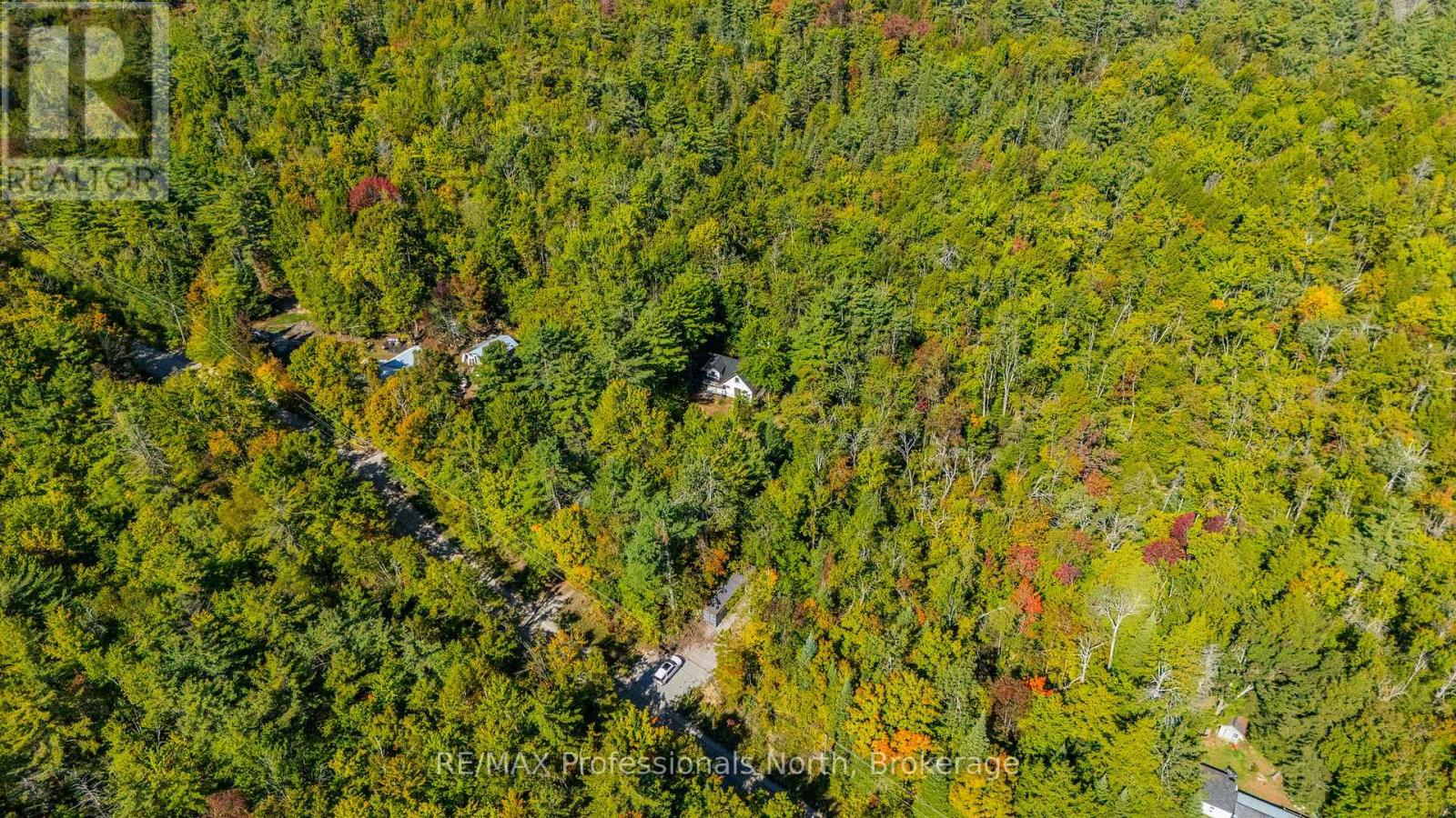 319 Boundary Road, Minden Hills (Lutterworth), Ontario  K0M 2A1 - Photo 26 - X12558780