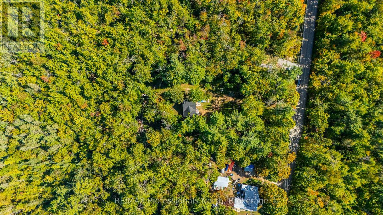 319 Boundary Road, Minden Hills (Lutterworth), Ontario  K0M 2A1 - Photo 27 - X12558780