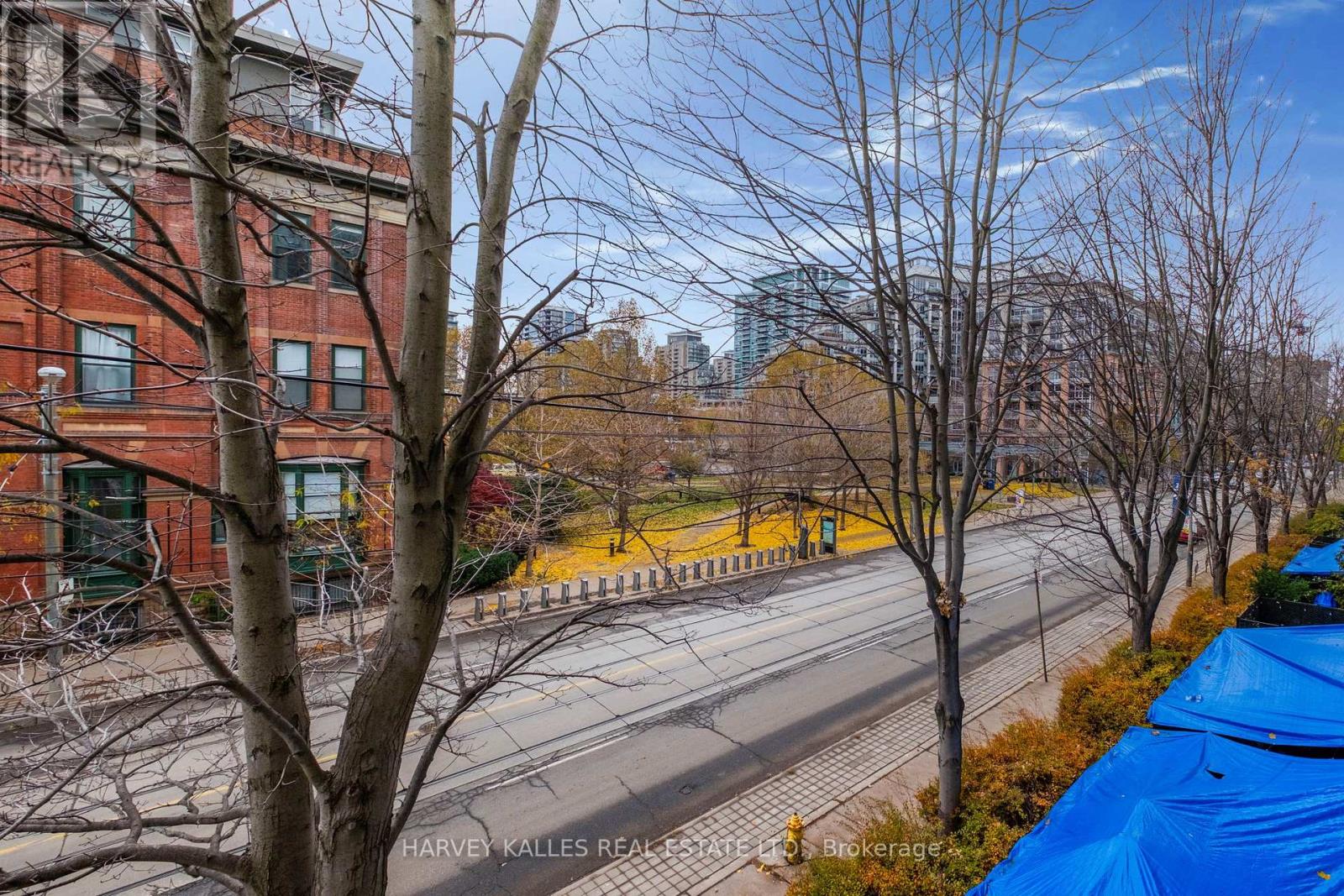 314 - 954 King Street W, Toronto, Ontario  M6K 3L9 - Photo 16 - C12558518