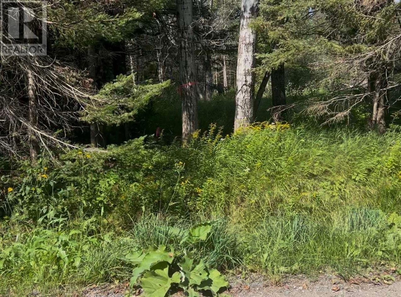 107 Victoria St, Sault Ste. Marie, Ontario  P6A 3J3 - Photo 2 - SM252453