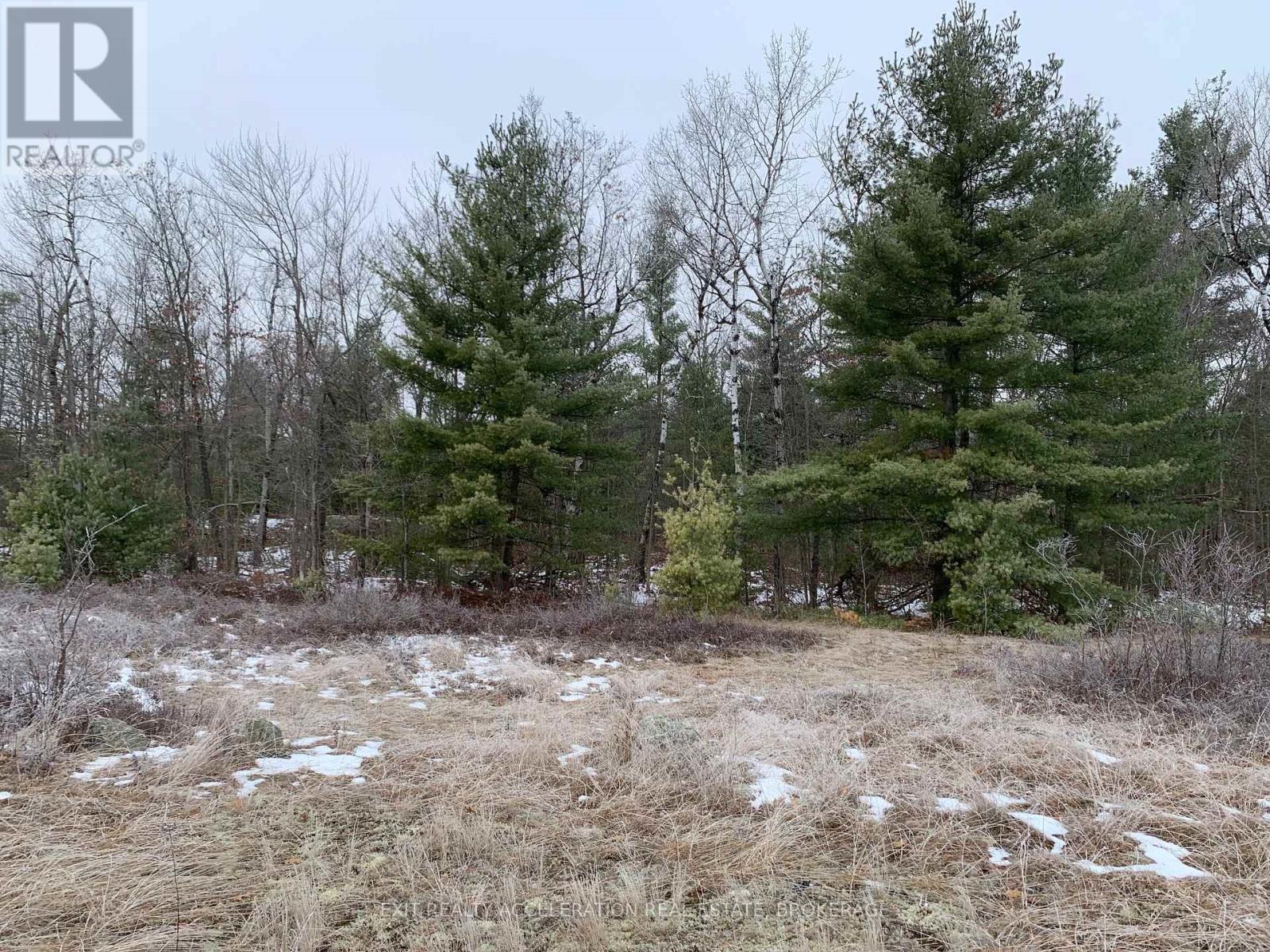 0 County Road 41, Addington Highlands, Ontario  K0H 1Z0 - Photo 7 - X12552550