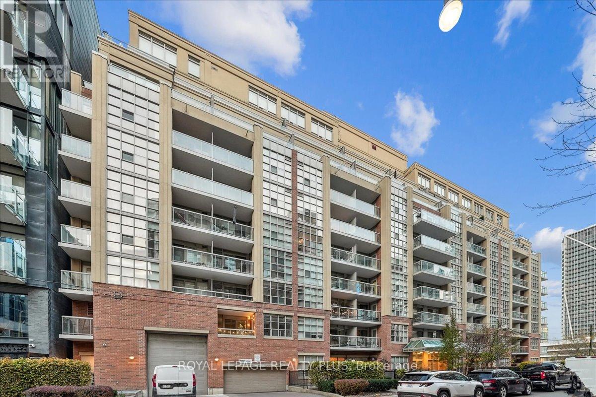 202 - 15 Stafford Street, Toronto, Ontario  M5V 3X6 - Photo 3 - C12558678