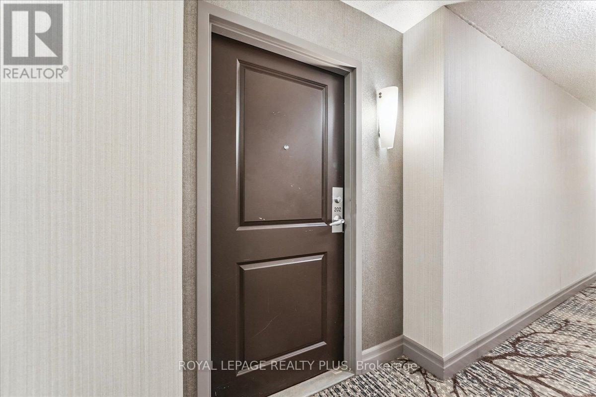 202 - 15 Stafford Street, Toronto, Ontario  M5V 3X6 - Photo 6 - C12558678