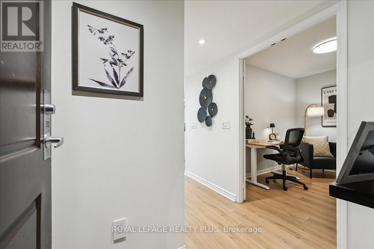 202 - 15 Stafford Street, Toronto, Ontario  M5V 3X6 - Photo 7 - C12558678