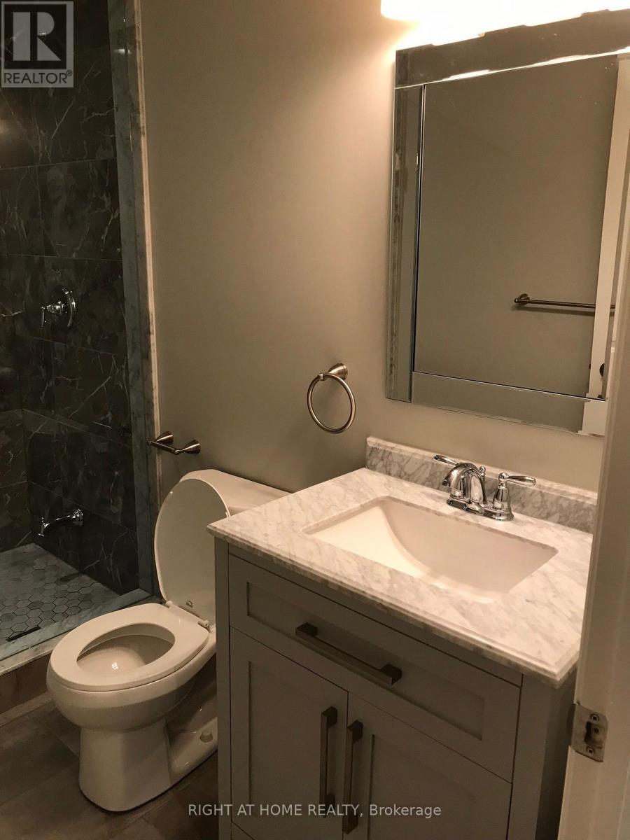 Lower - 158 Lisgar Street, Toronto, Ontario  M6J 3G3 - Photo 10 - C12558762