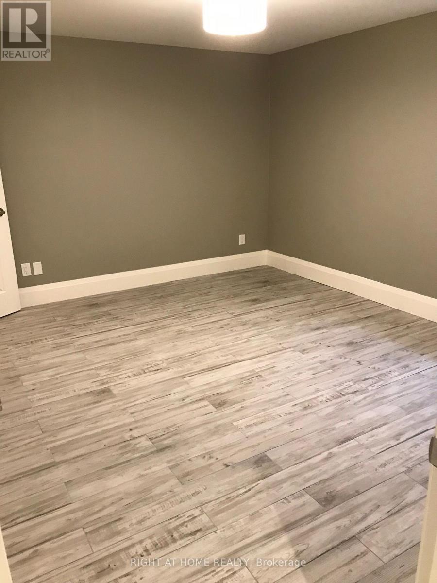 Lower - 158 Lisgar Street, Toronto, Ontario  M6J 3G3 - Photo 11 - C12558762