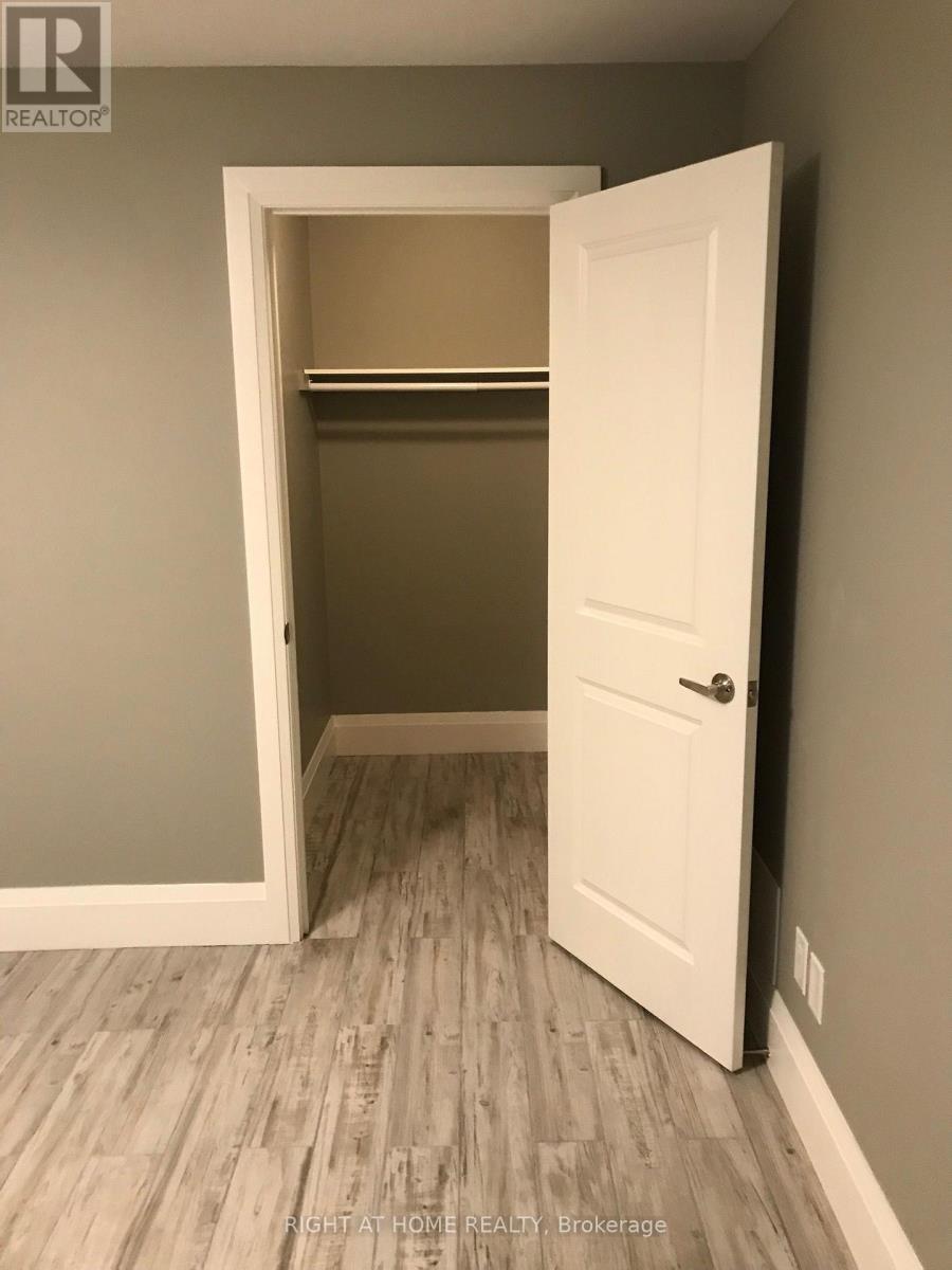 Lower - 158 Lisgar Street, Toronto, Ontario  M6J 3G3 - Photo 13 - C12558762