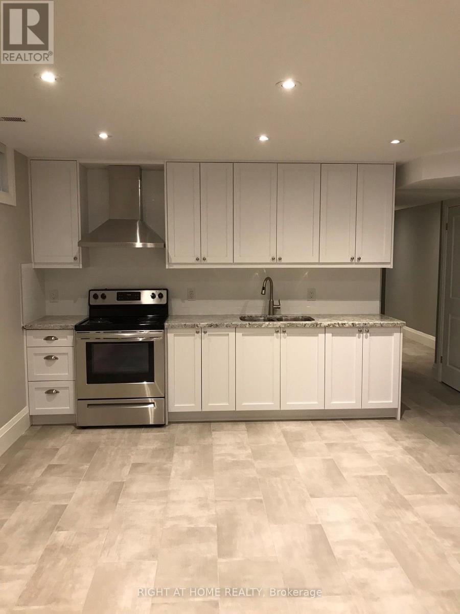 Lower - 158 Lisgar Street, Toronto, Ontario  M6J 3G3 - Photo 8 - C12558762