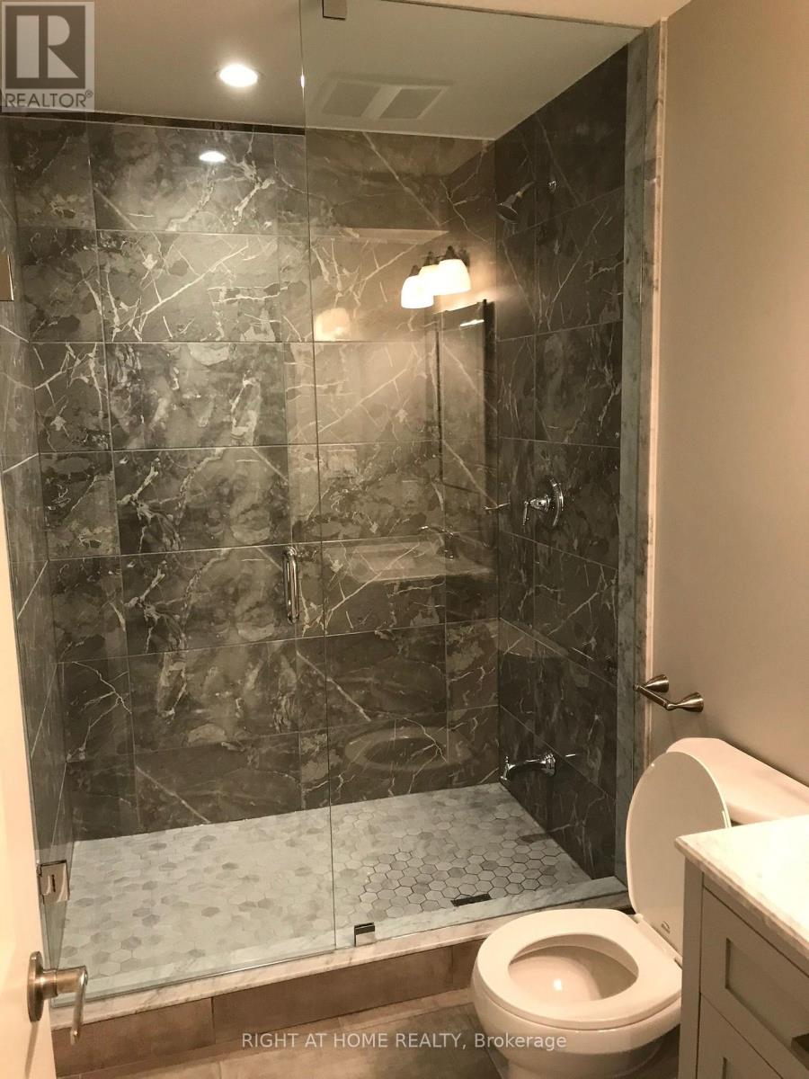 Lower - 158 Lisgar Street, Toronto, Ontario  M6J 3G3 - Photo 9 - C12558762