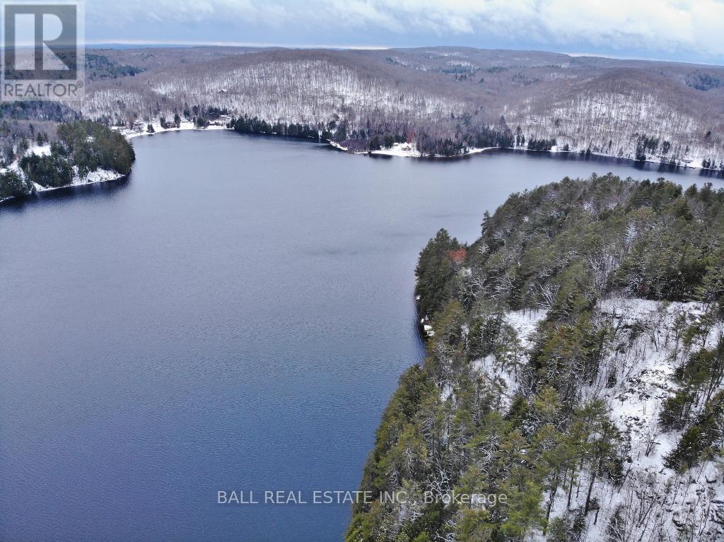 11 Sumac Court, Faraday, Ontario  K0L 1C0 - Photo 4 - X12557866