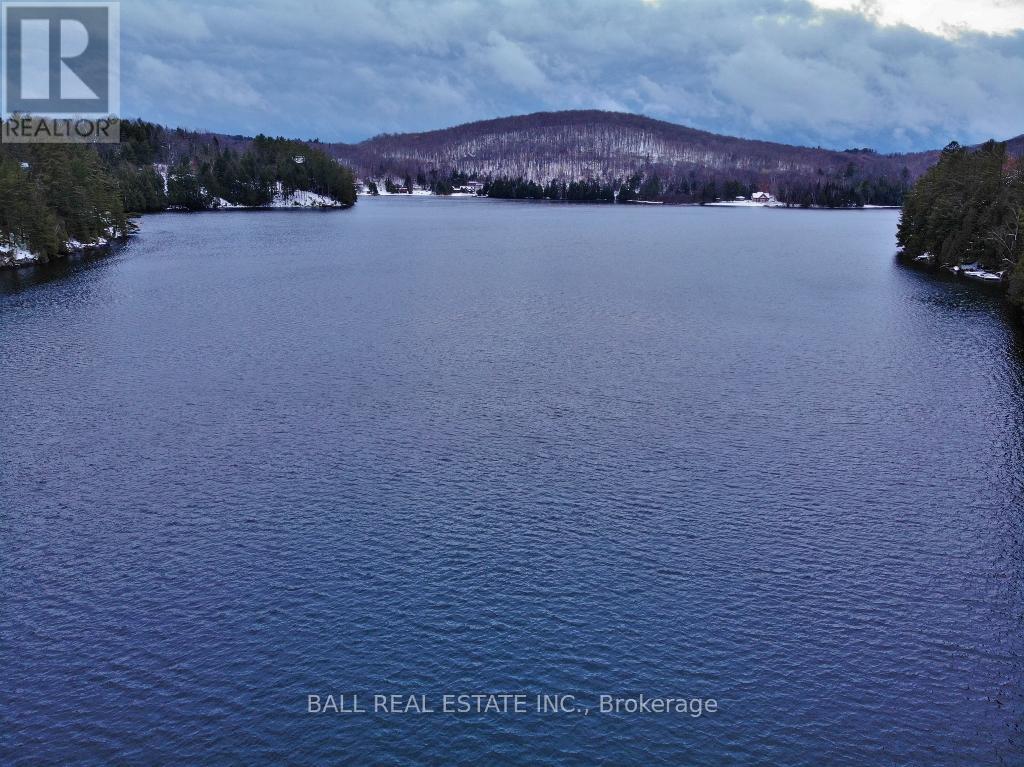 11 Sumac Court, Faraday, Ontario  K0L 1C0 - Photo 7 - X12557866