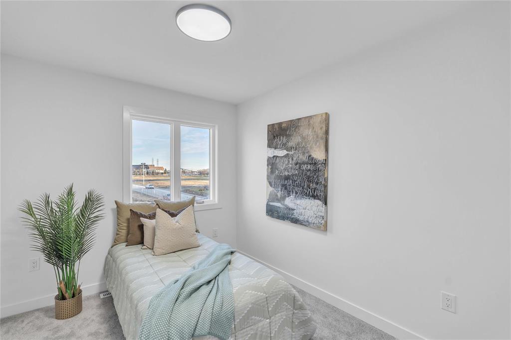 337 Numeracy Lane, Winnipeg, Manitoba  R2P 3A6 - Photo 19 - 202528692