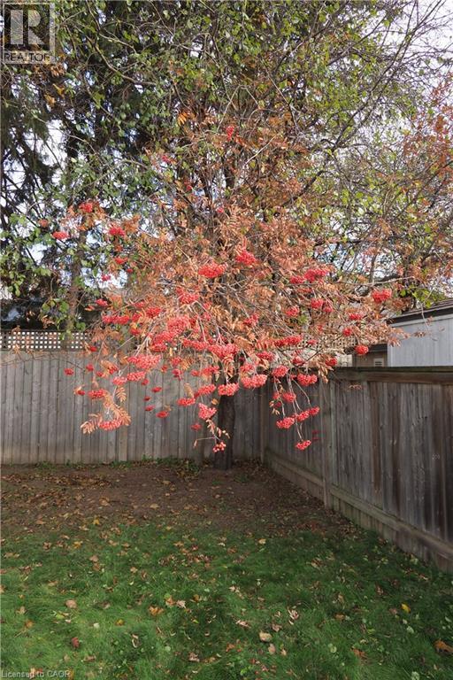 132 Montcalm Drive, Kitchener, Ontario  N2B 2R5 - Photo 48 - 40789321