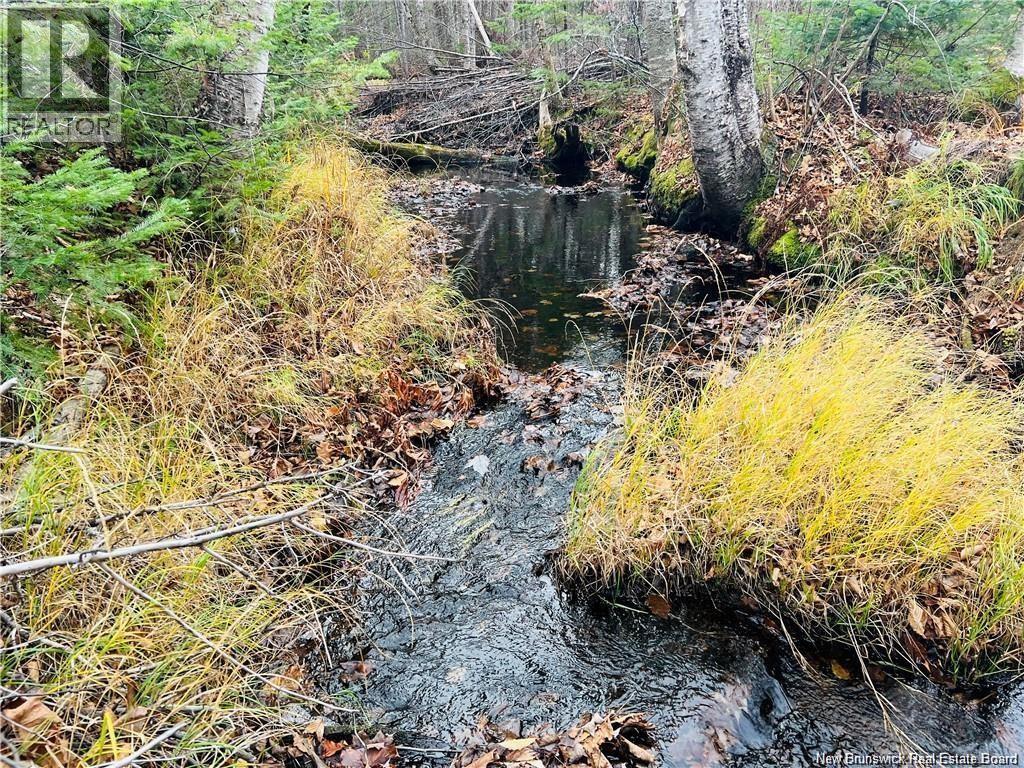 Route 340, New Bandon, New Brunswick  E2A 5E7 - Photo 5 - NB130343