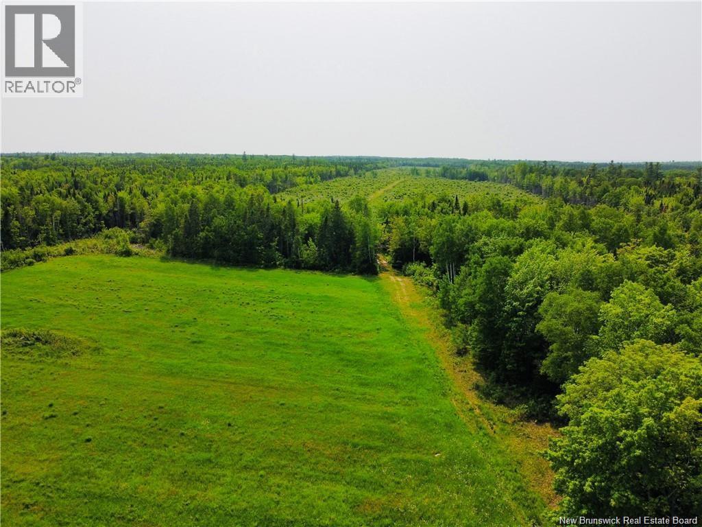 Route 340, New Bandon, New Brunswick  E2A 5E7 - Photo 7 - NB130343