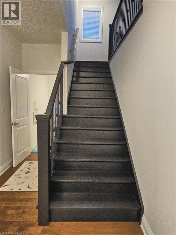 117 Nathalie Street, Kitchener, Ontario  N2E 0C9 - Photo 23 - 40789158