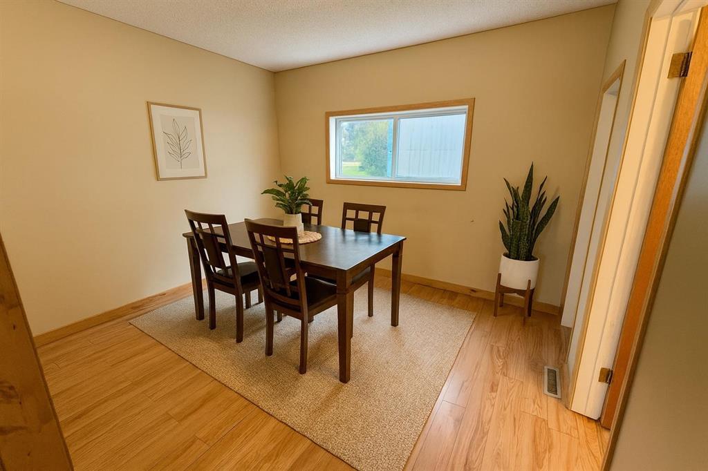 223 Gordon Avenue, Elm Creek, Manitoba  R0G 0N0 - Photo 17 - 202522822