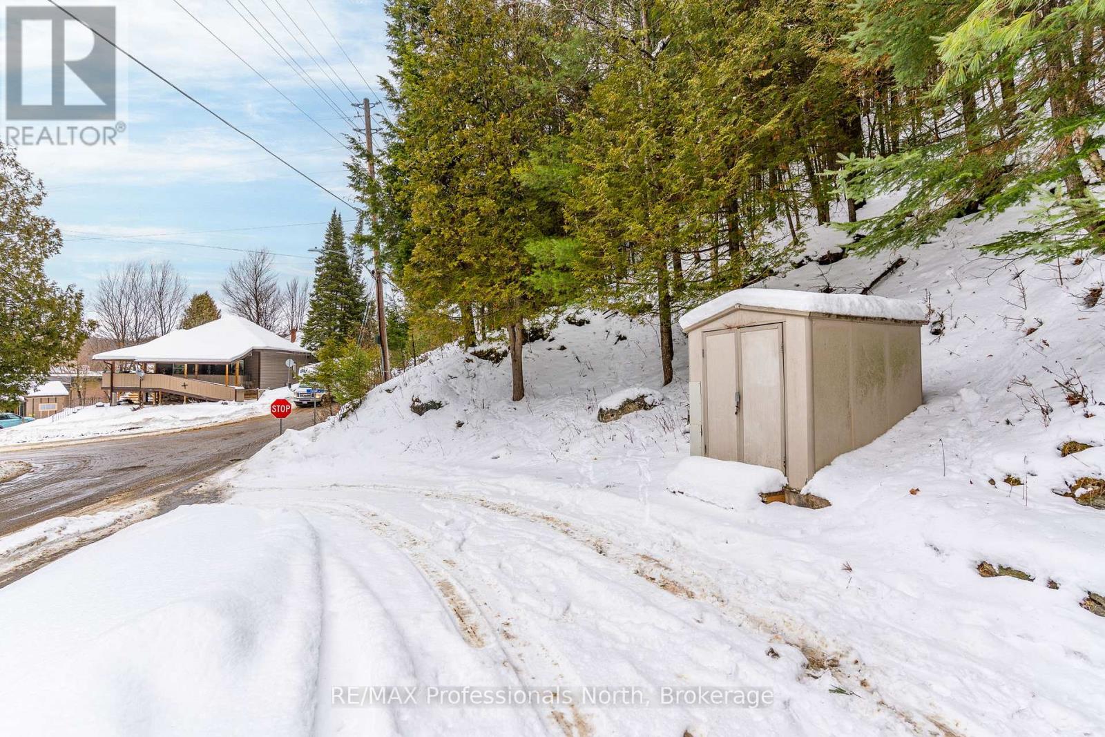 646 Mountain Street, Dysart Et Al (Dysart), Ontario  K0M 1S0 - Photo 26 - X12555136