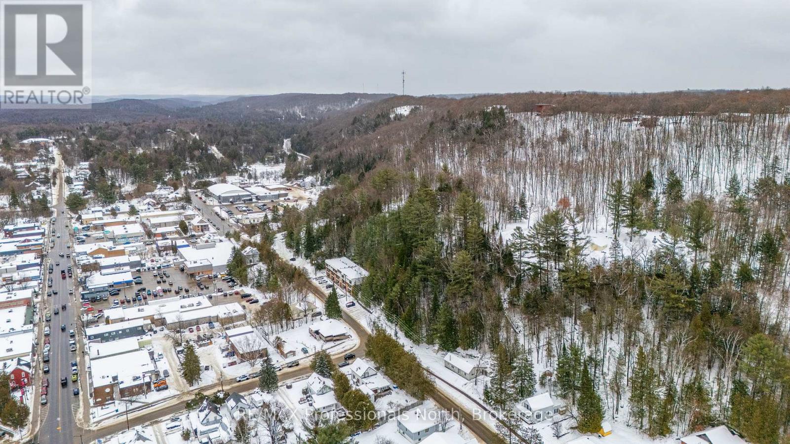 646 Mountain Street, Dysart Et Al (Dysart), Ontario  K0M 1S0 - Photo 32 - X12555136