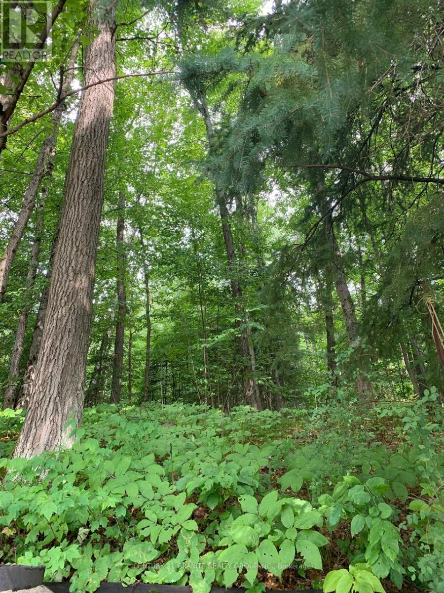 198 Gaebel Road, Bancroft, Ontario  K0L 1C0 - Photo 3 - X12559612