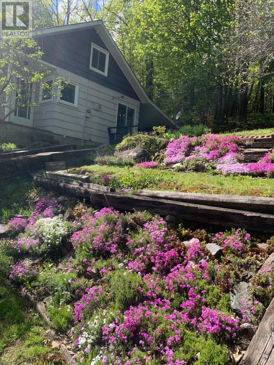 198 Gaebel Road, Bancroft, Ontario  K0L 1C0 - Photo 7 - X12559612