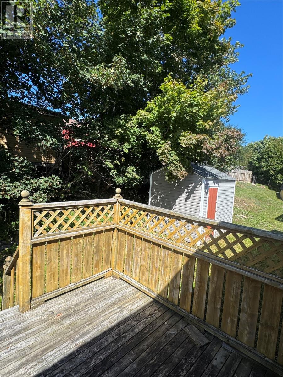 34 Fitzgibbon Street, St. John’s, Newfoundland & Labrador  A1E 2G1 - Photo 13 - 1290104