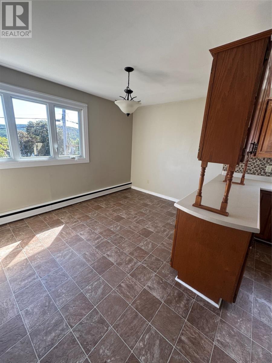 34 Fitzgibbon Street, St. John’s, Newfoundland & Labrador  A1E 2G1 - Photo 20 - 1290104
