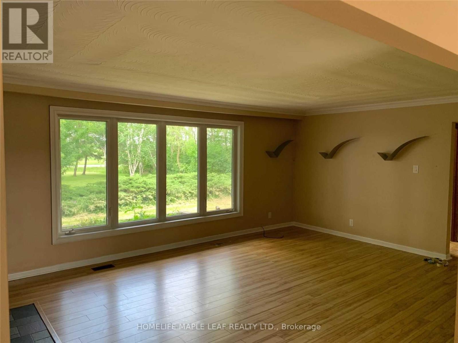 13660 Airport Road, Caledon, Ontario  L7C 2W4 - Photo 3 - W12559512