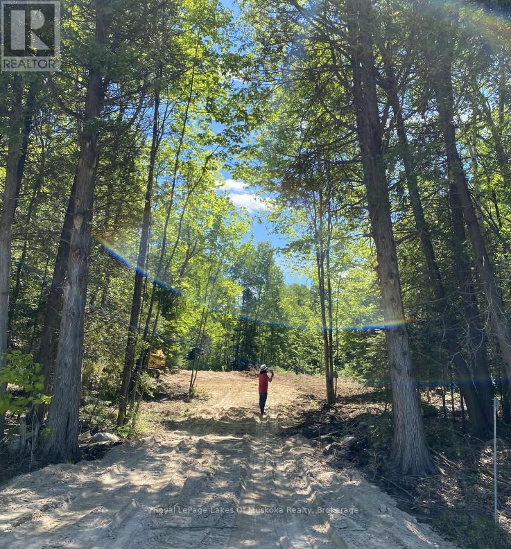 24 Settlers Road, Nipissing, Ontario  P0H 1W0 - Photo 10 - X12559610