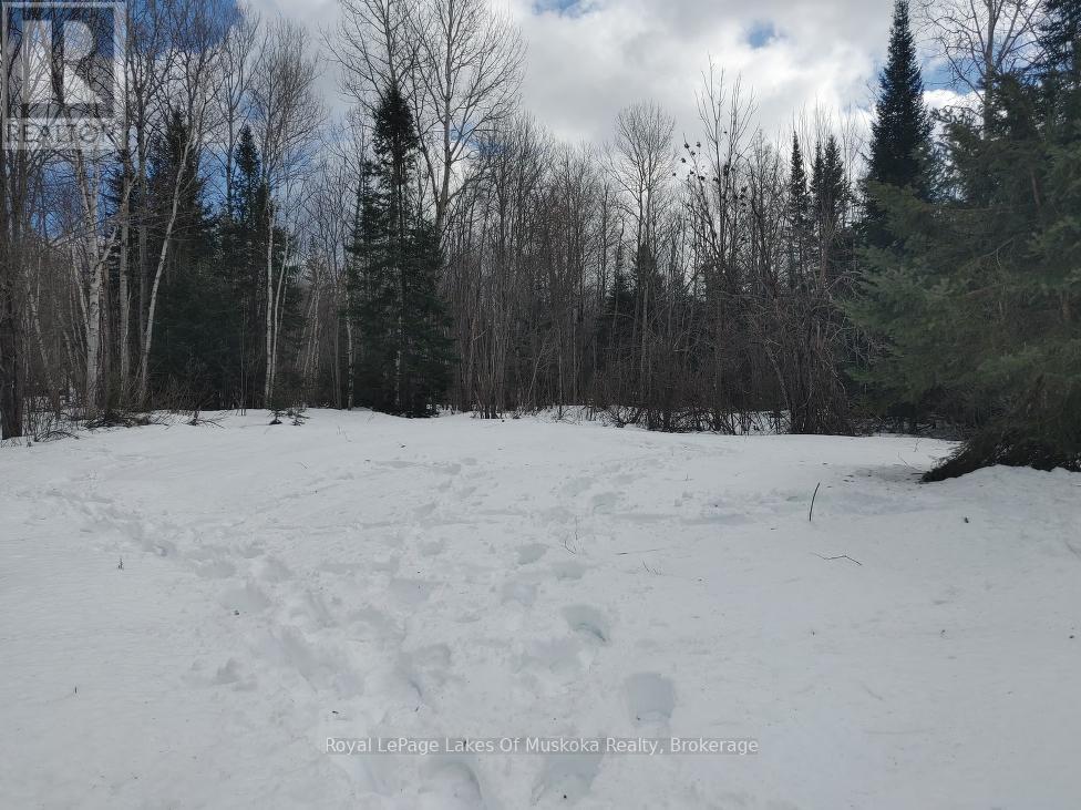 24 Settlers Road, Nipissing, Ontario  P0H 1W0 - Photo 13 - X12559610