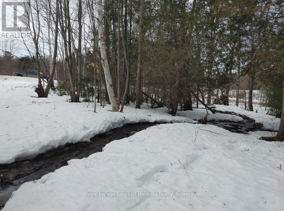 24 Settlers Road, Nipissing, Ontario  P0H 1W0 - Photo 14 - X12559610